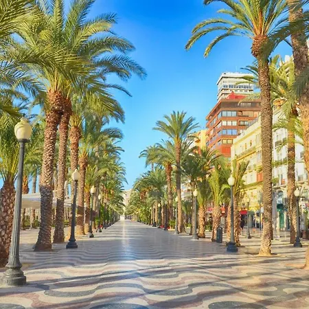 Homestay 35-3- Комната В Квартире Для Семьи От 1 До 4 Человек В Центре Аликанте Alicante